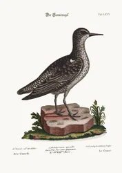 Le Nœud, 1749-73